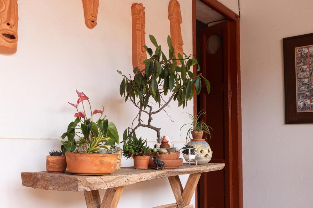 Photo of Others in Zapatoca