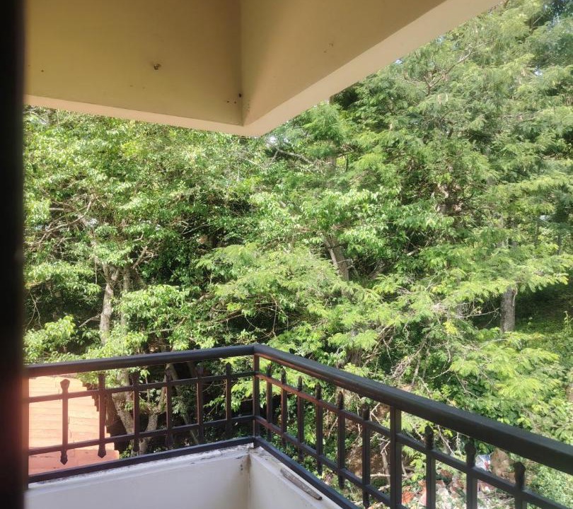 Photo of Patio Balcony in Pinchote