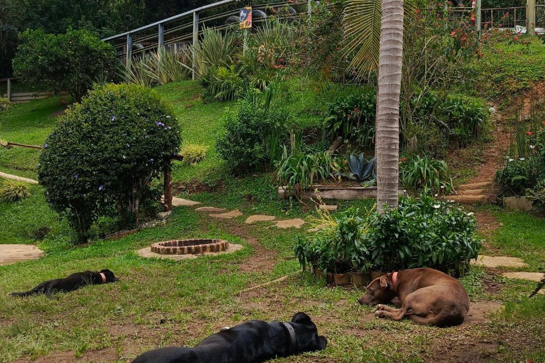 Photo of Others in Rionegro