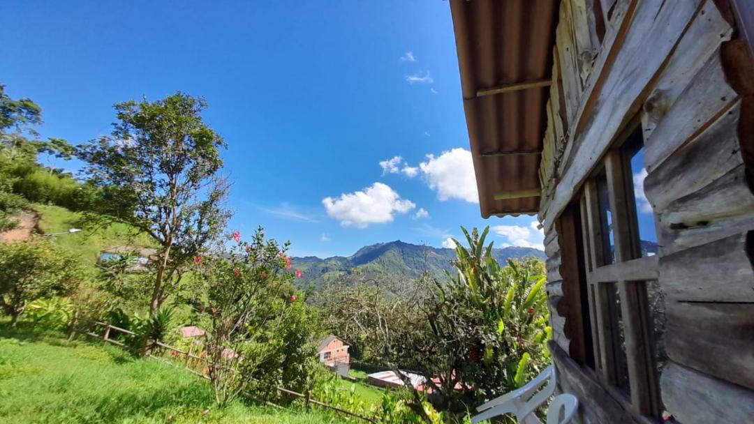 Photo of Others in Las Mercedes