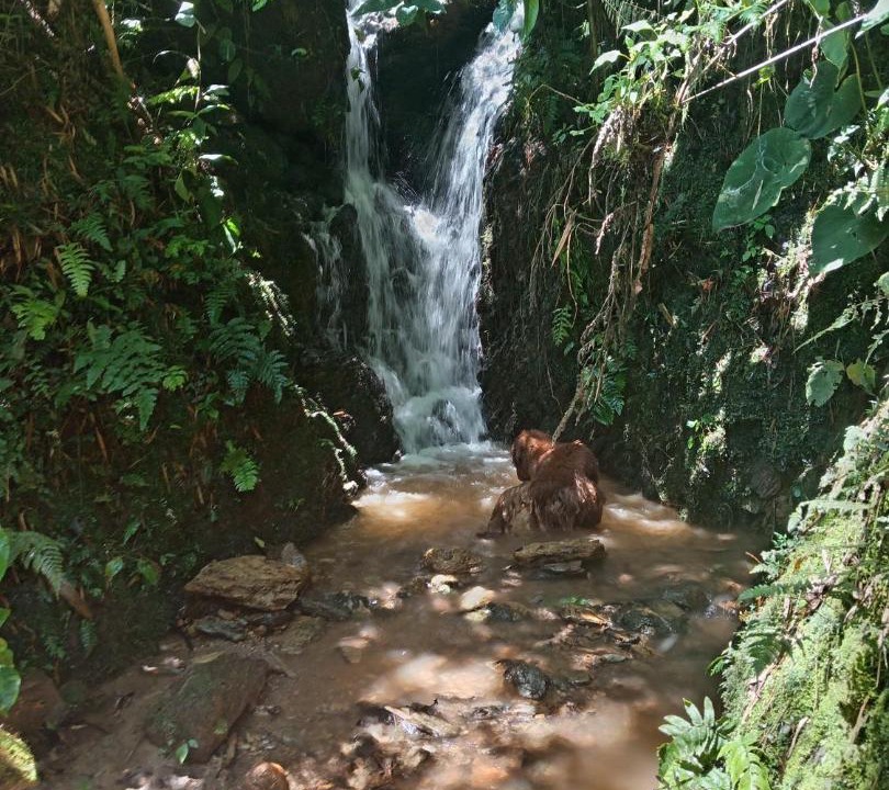 Photo of Others in Las Mercedes