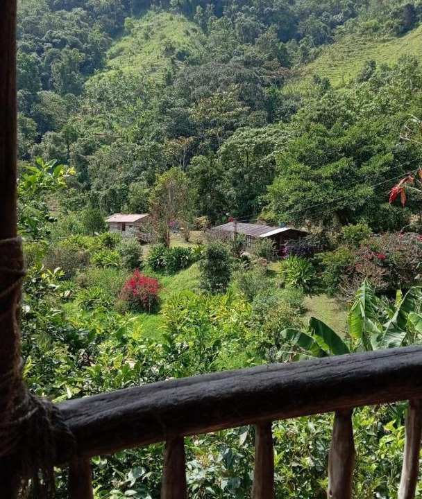 Photo of Others in Las Mercedes