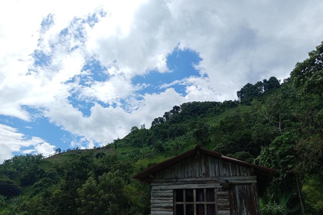 Photo of Others in Las Mercedes