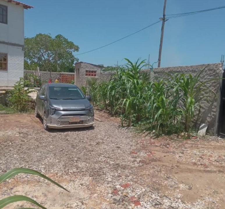 Photo of Others in Bocachica