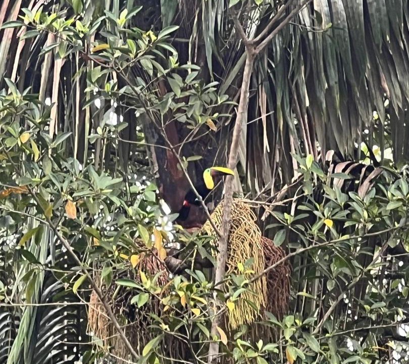 Photo of Others in Uramba National Park