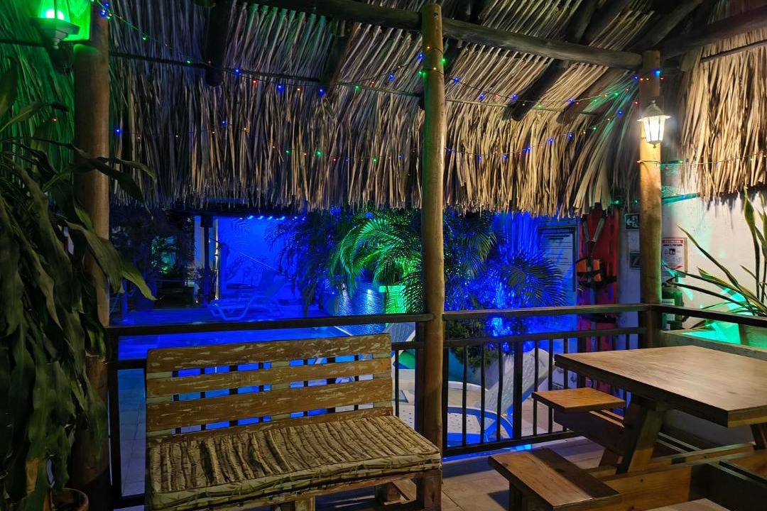 Photo of Others in Palomino