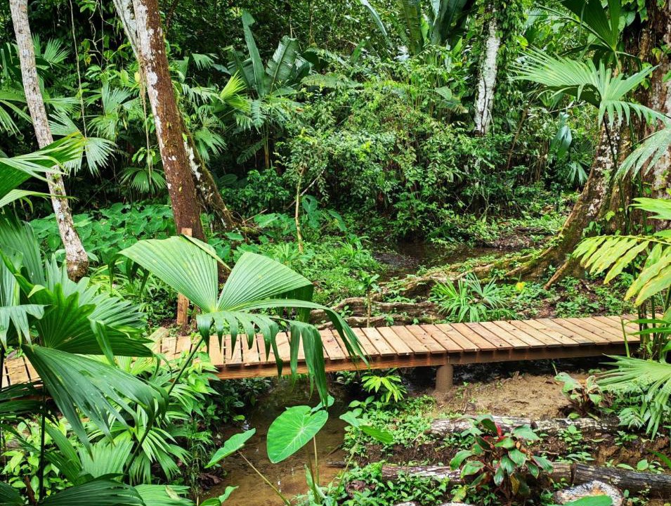 Photo of Others in Nuqui
