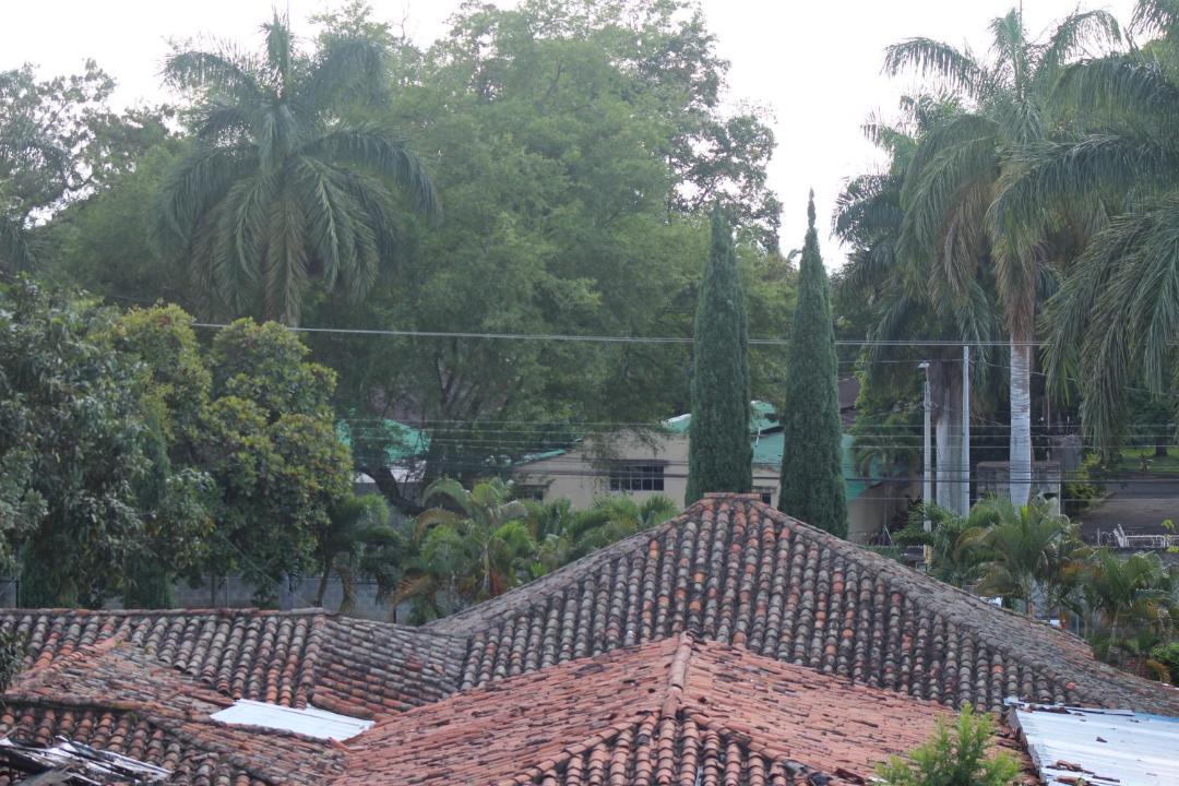 Photo of Others in Palmira