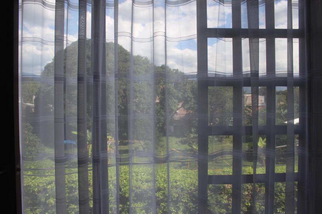 Photo of Others in Palmira