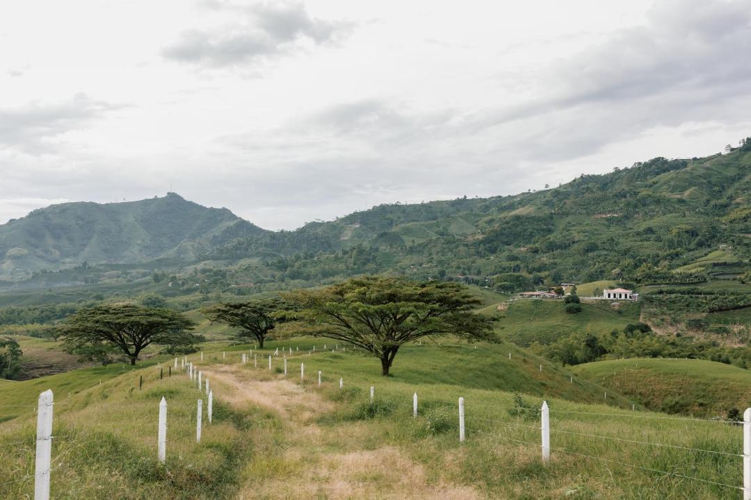 Photo of Others in Pereira
