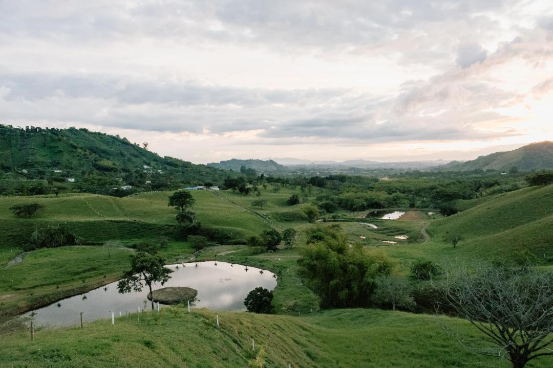 Photo of Others in Pereira