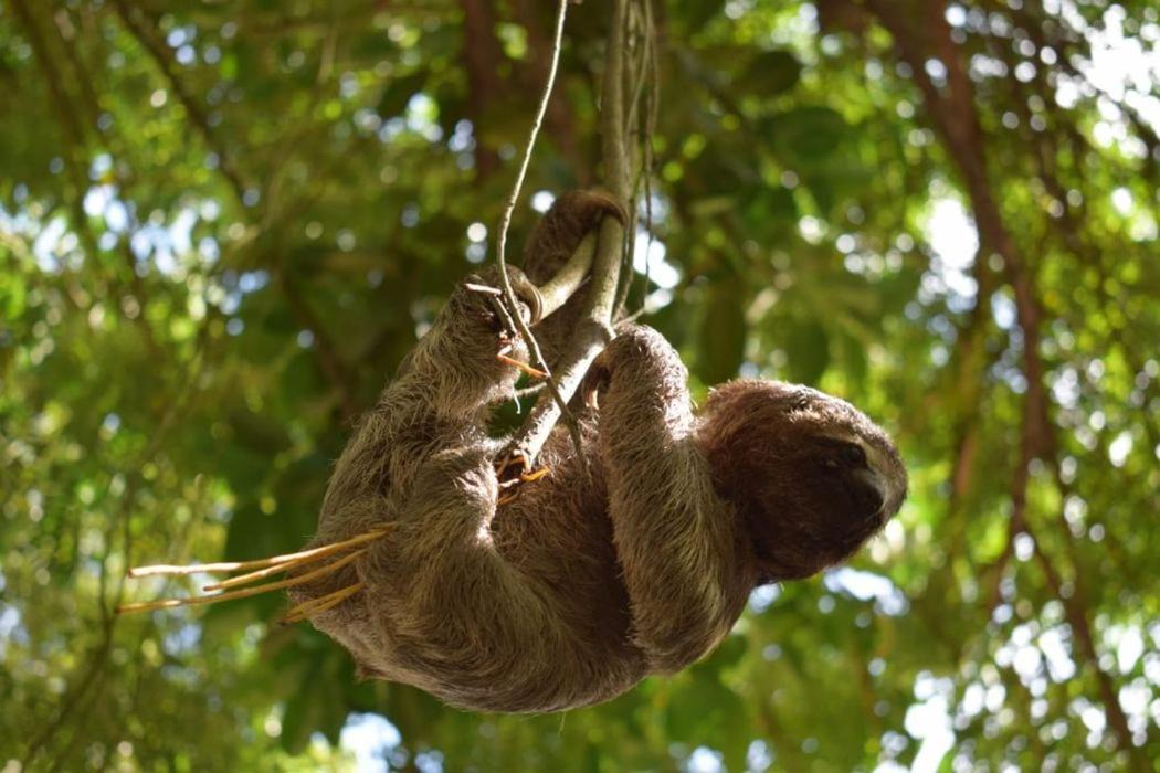 Photo of Others in Monteria