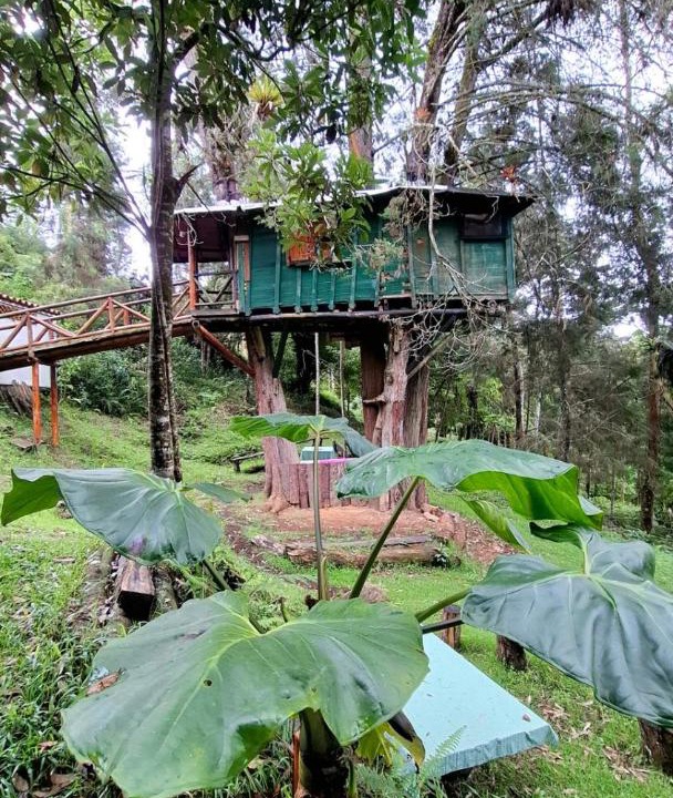 Photo of Others in Guarne