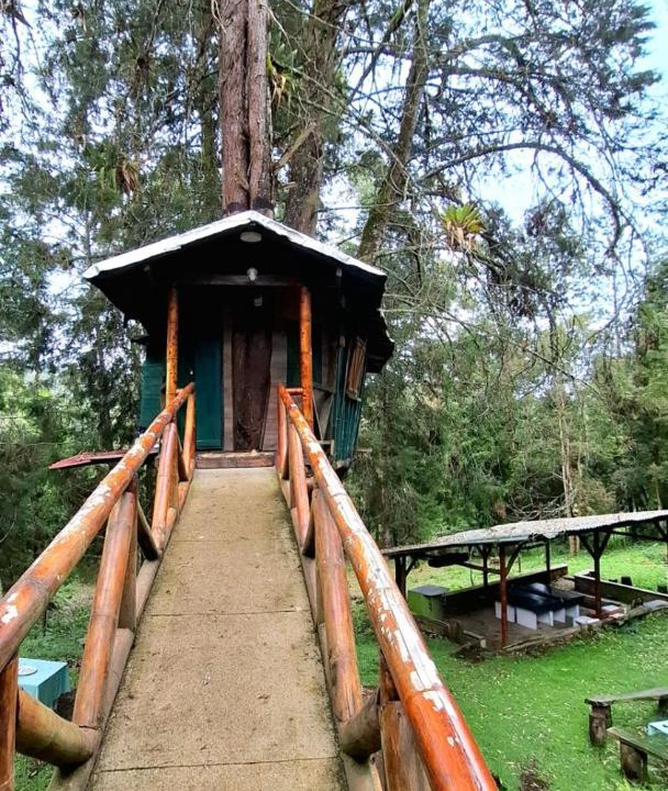 Photo of Others in Guarne