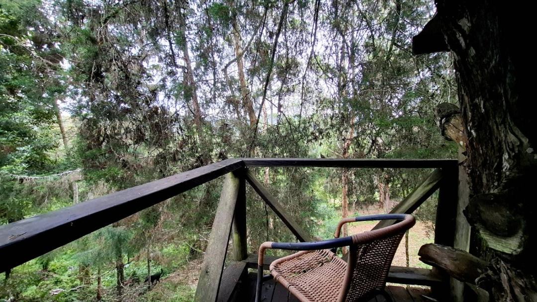 Photo of Others in Guarne