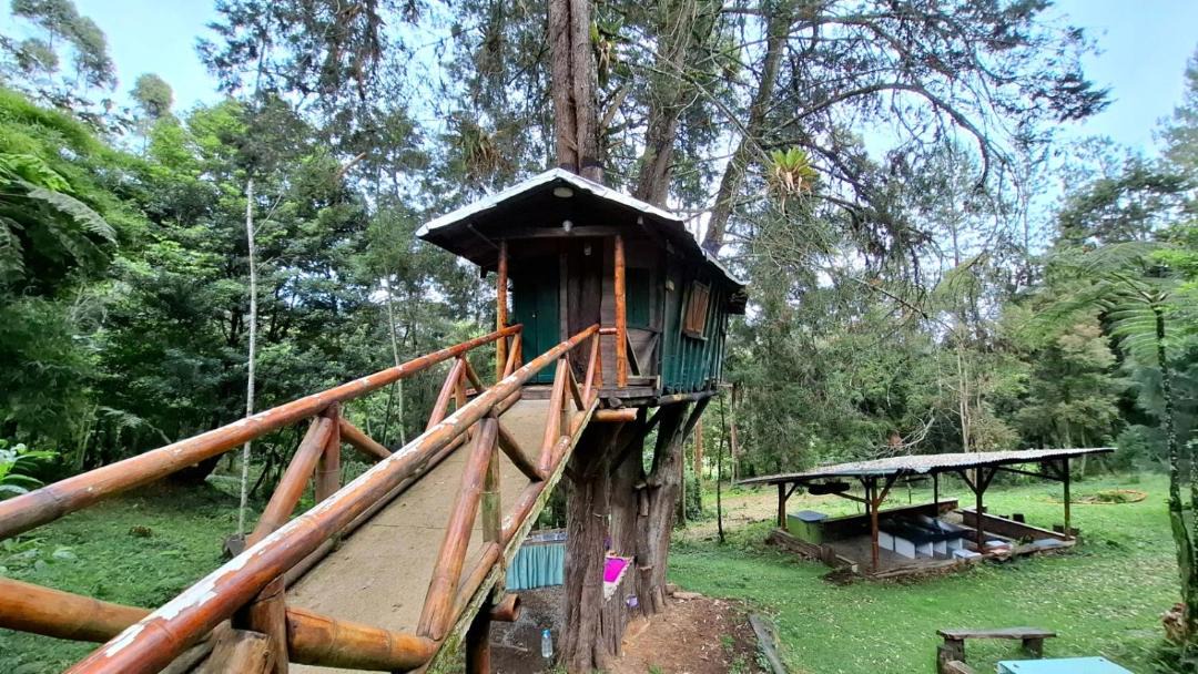 Photo of Others in Guarne