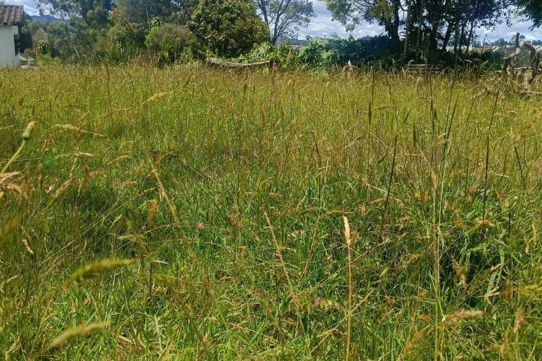 Photo of Others in Guarne