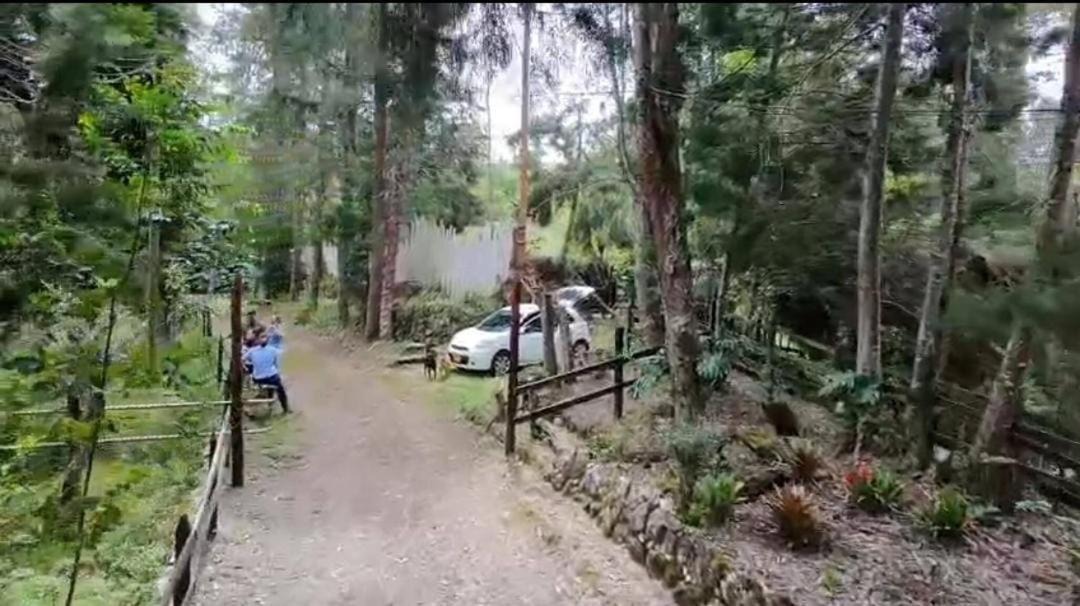Photo of Others in Guarne