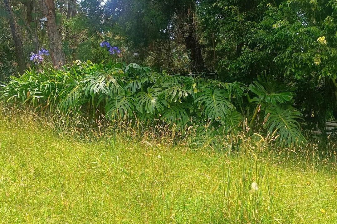 Photo of Outdoor in Guarne