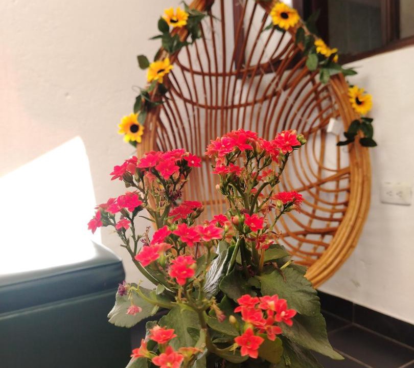 Photo of Others in Villa de Leyva