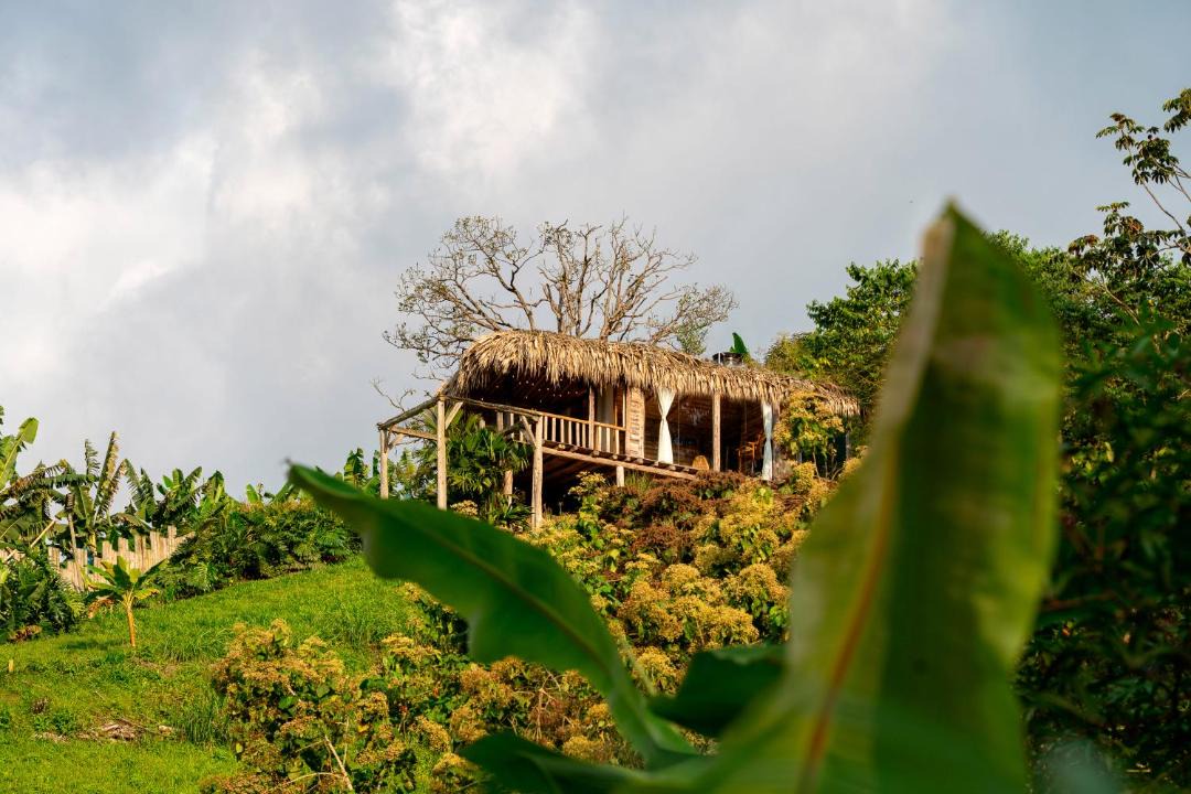 Photo of Others in La Estrella