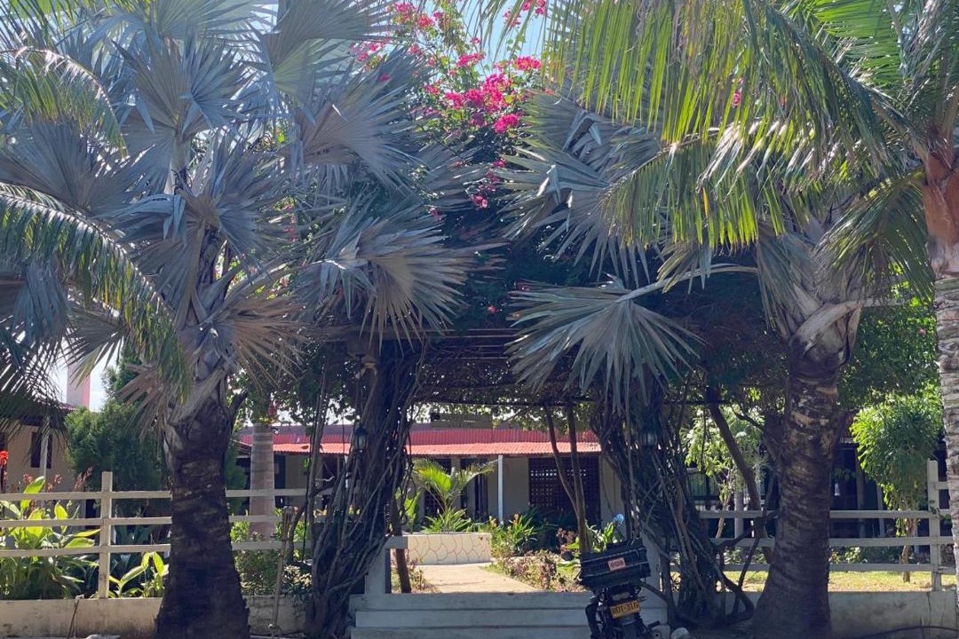 Photo of Others in Dibulla