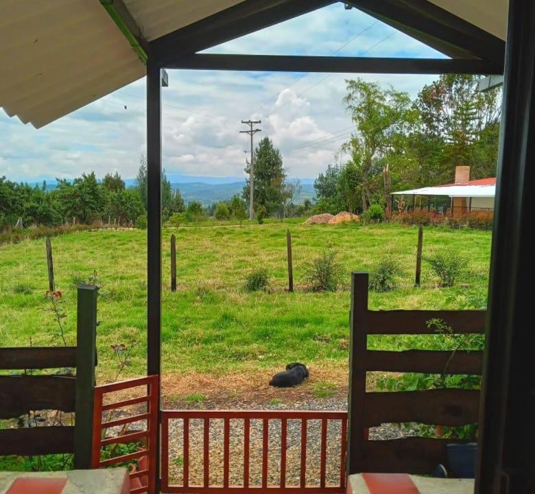 Photo of Others in Sotaquira