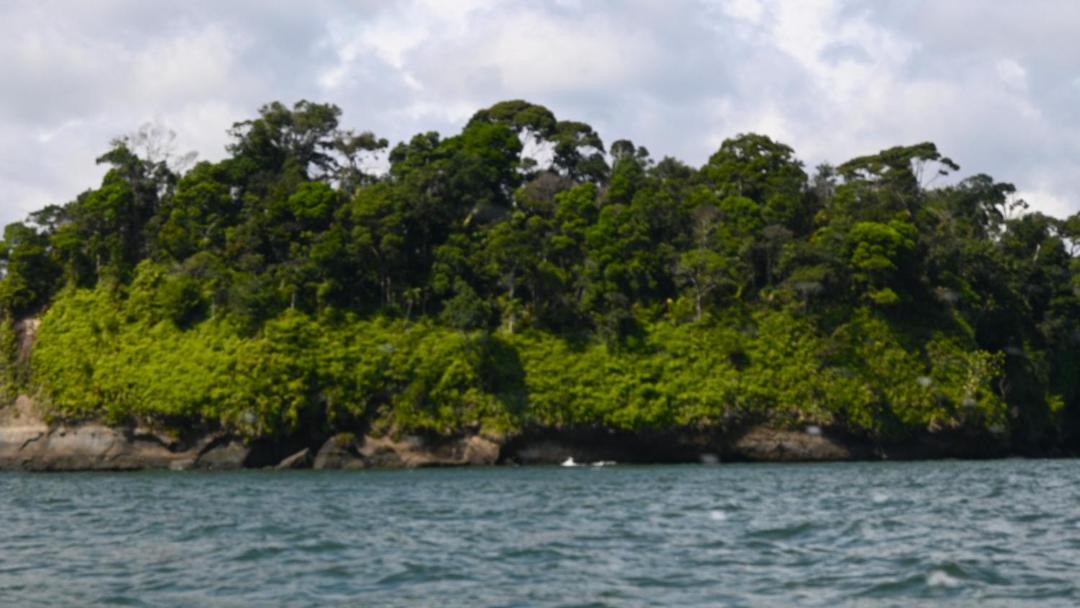 Photo of Others in Uramba National Park