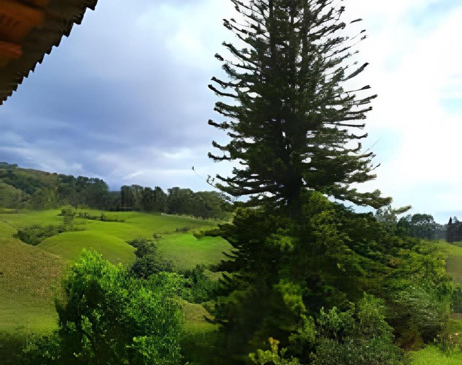 Photo of Others in La Estrella