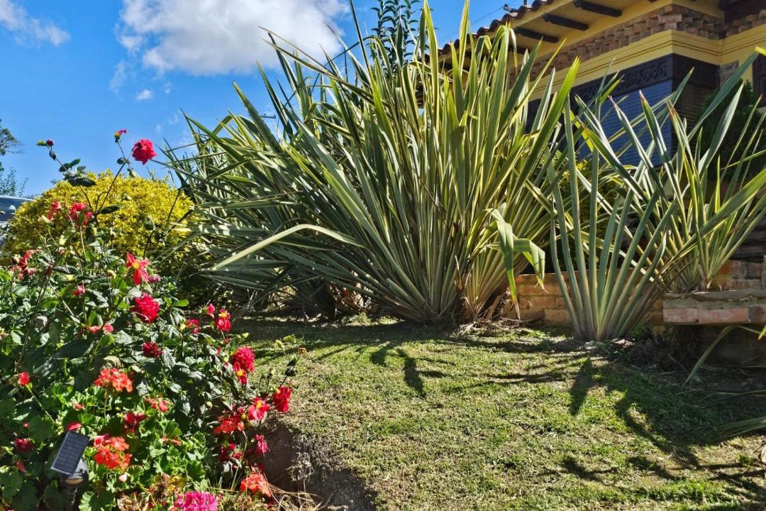 Photo of Others in Villa de Leyva