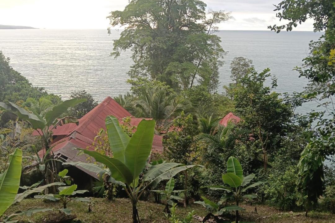 Photo of Others in Nuqui