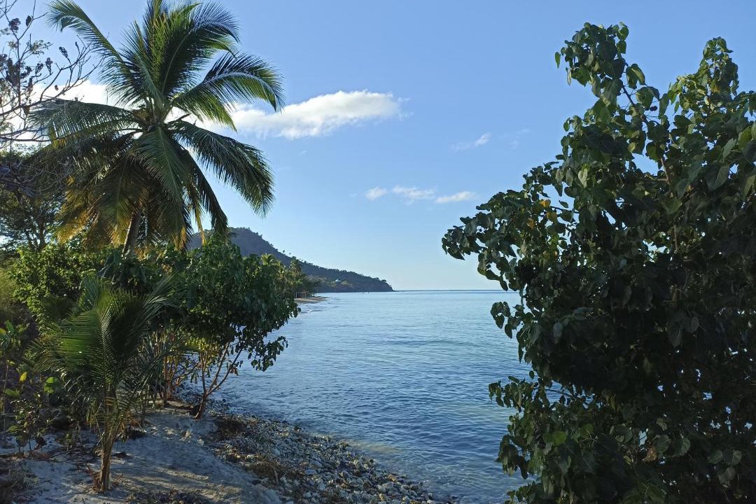 Photo of Others in Bahia Suroeste
