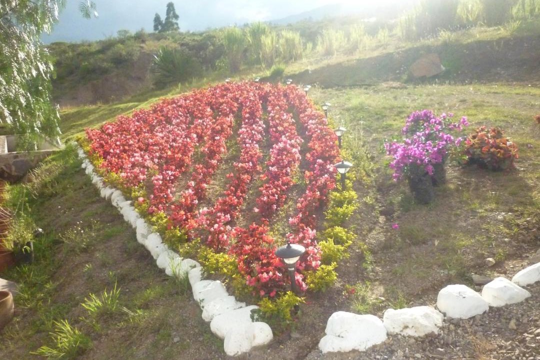 Photo of Others in Sutamarchan