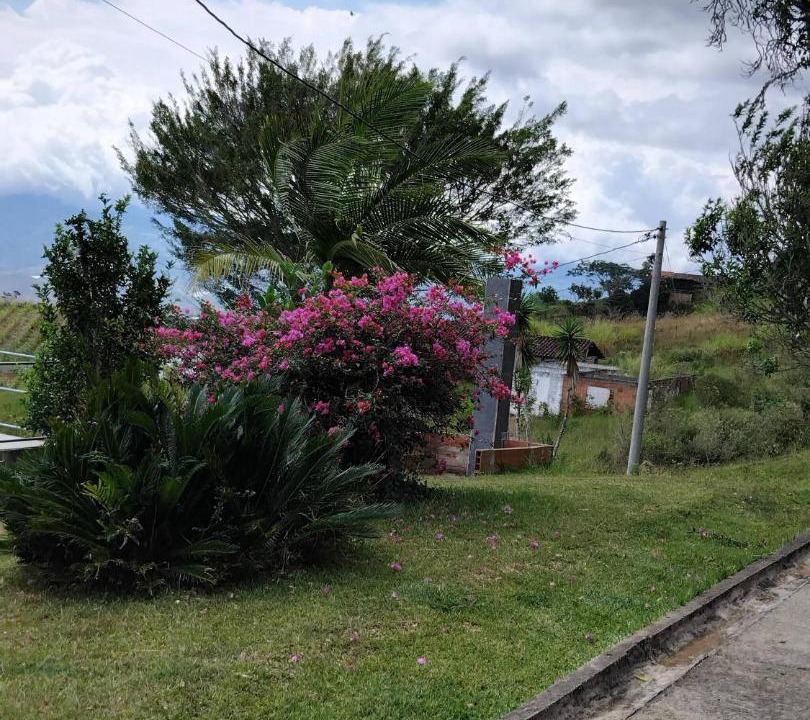 Photo of Others in Dagua