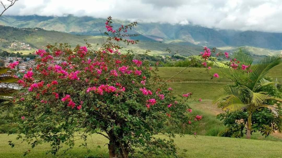 Photo of Others in Dagua