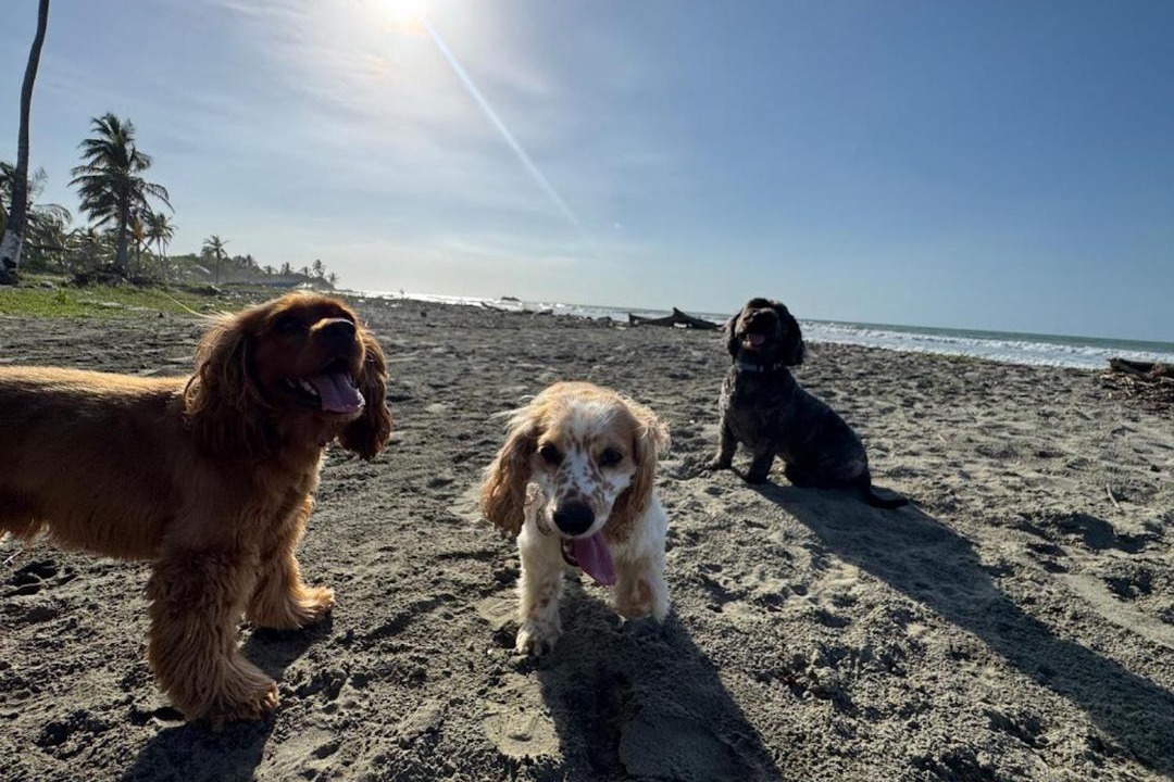 Photo of Others in San Bernardo del Viento