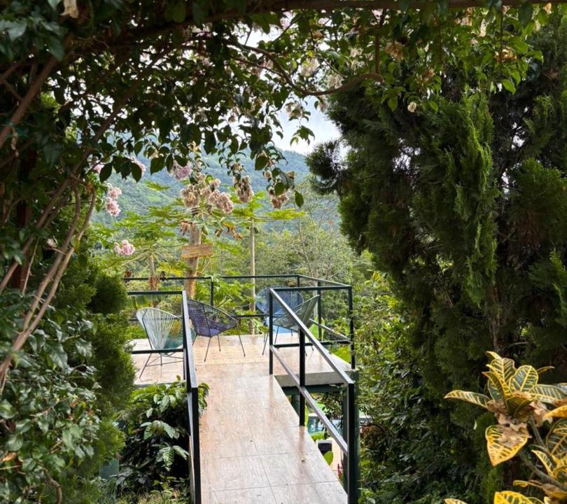 Photo of Others in Vergara
