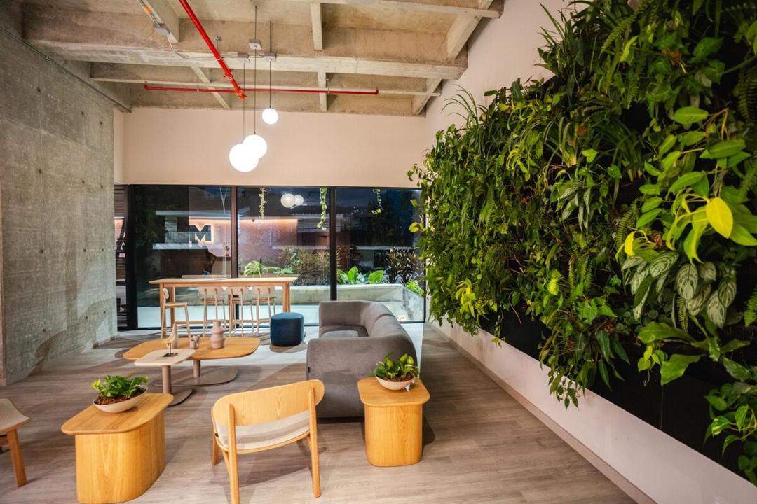 Photo of Others in Patio Bonito
