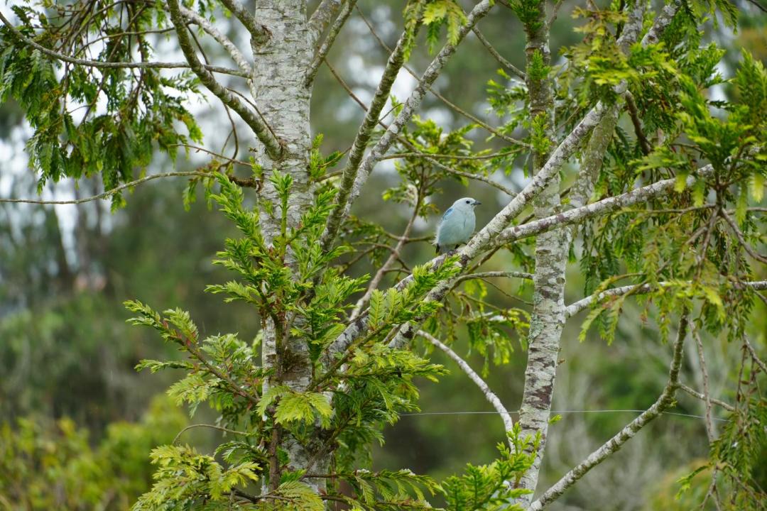 Photo of Others in Santa Rosa de Osos