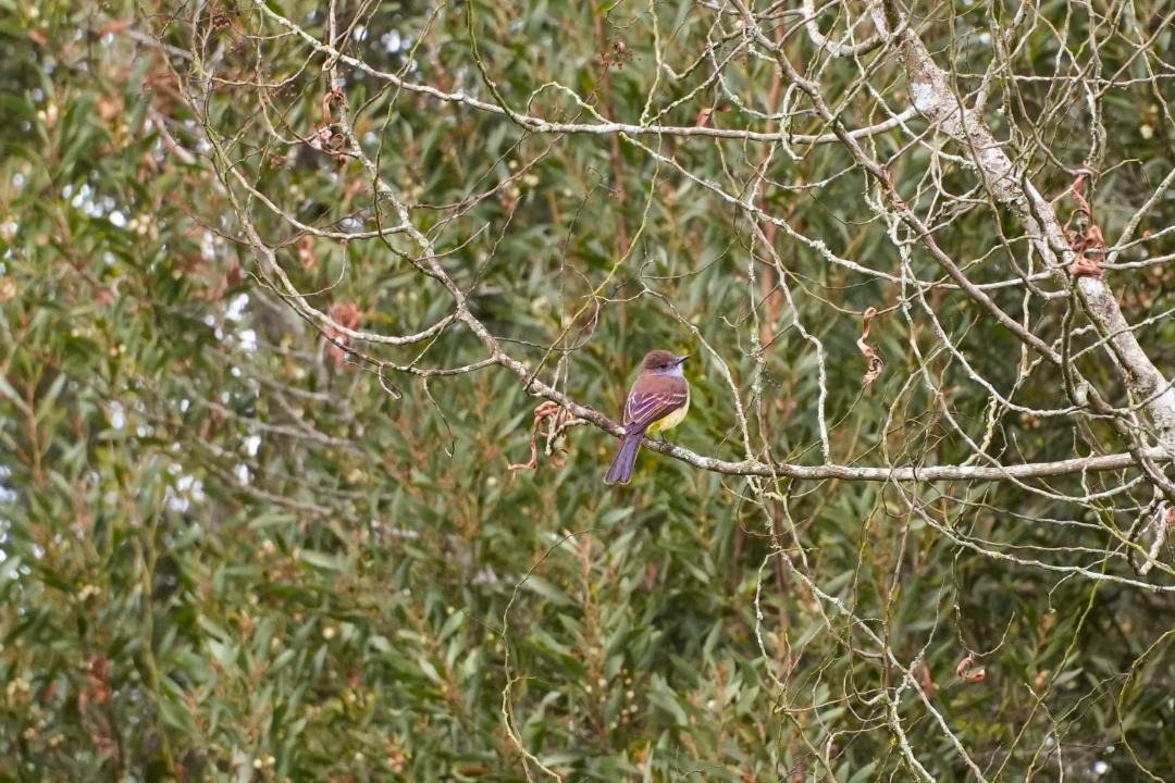 Photo of Others in Santa Rosa de Osos