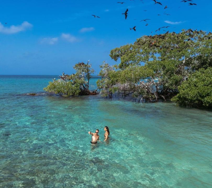 Photo of Others in Rosario Islands