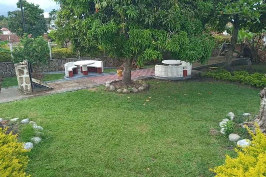 Photo of Others in Chinauta