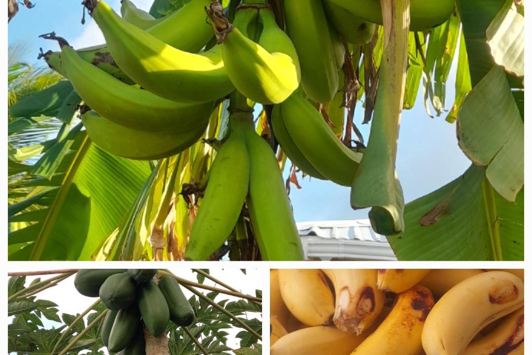 Photo of Others in Providencia