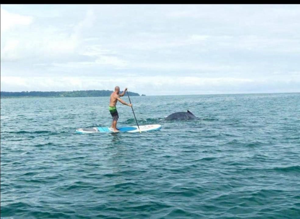 Photo of Others in Nuqui