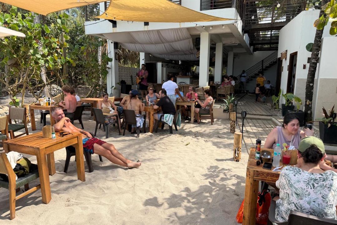 Photo of Others in Palomino