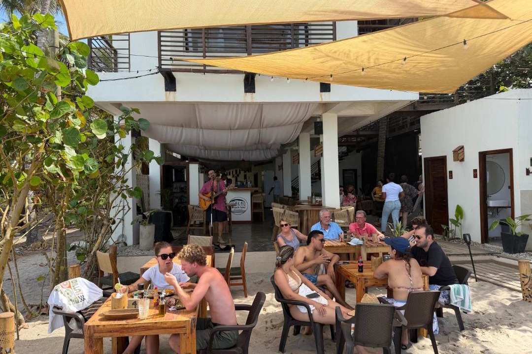 Photo of Others in Palomino
