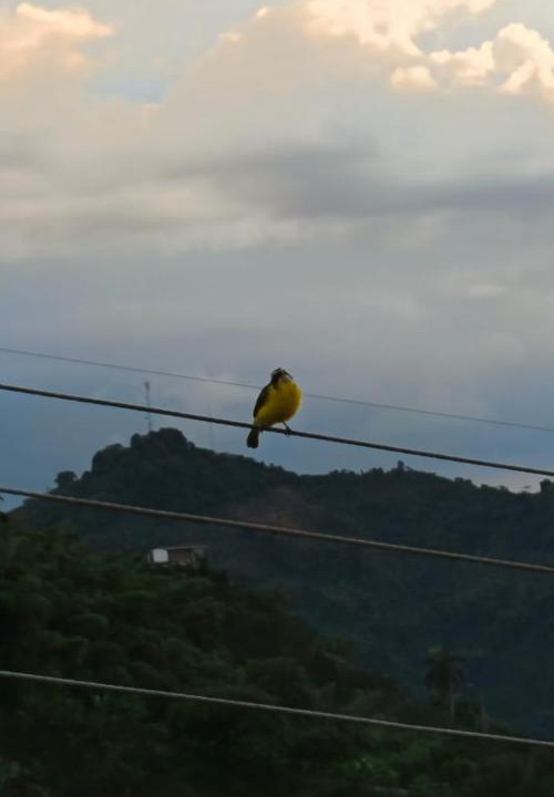 Photo of Others in Marsella
