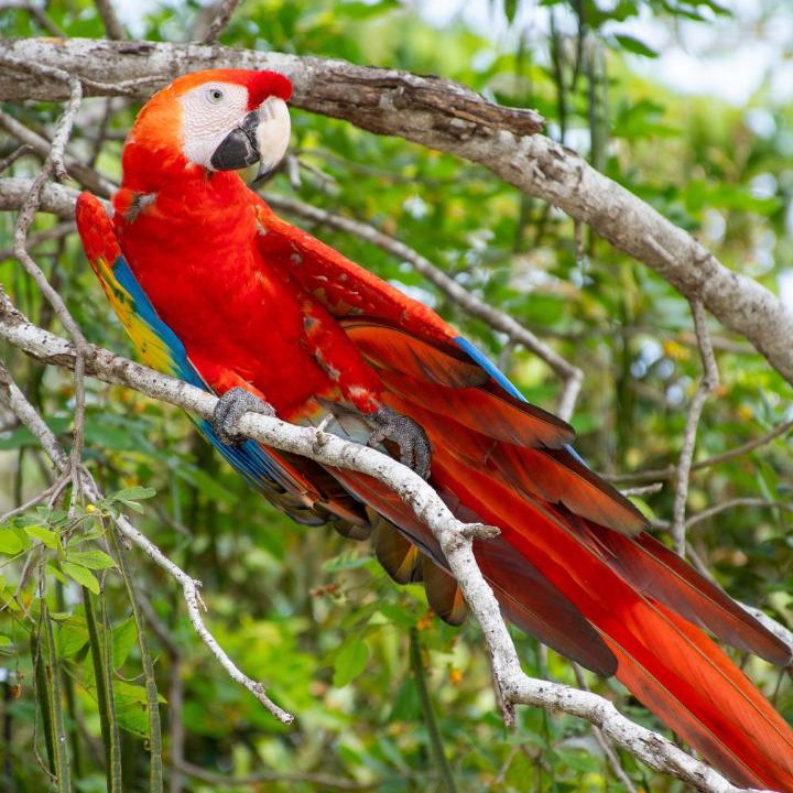 Photo of Others in Tierra Bomba Island