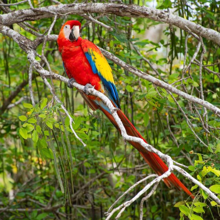 Photo of Others in Tierra Bomba Island