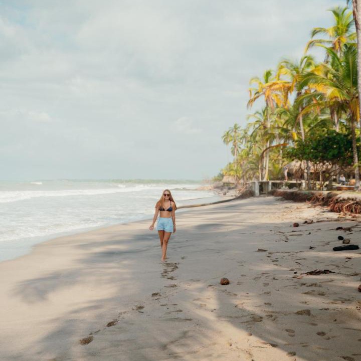 Photo of Others in Palomino